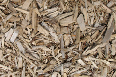 biomass boilers Drurylane